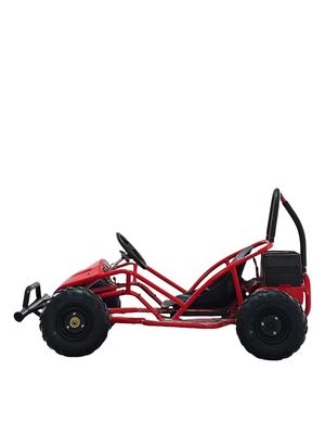 1000w Electric Go Kart Mini Dune Buggy voor kinderen 2WD Driving Type 1440*820*860mm