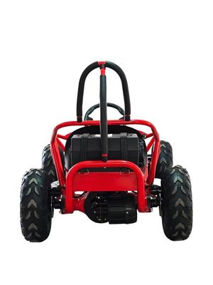 1000w Electric Go Kart Mini Dune Buggy voor kinderen 2WD Driving Type 1440*820*860mm
