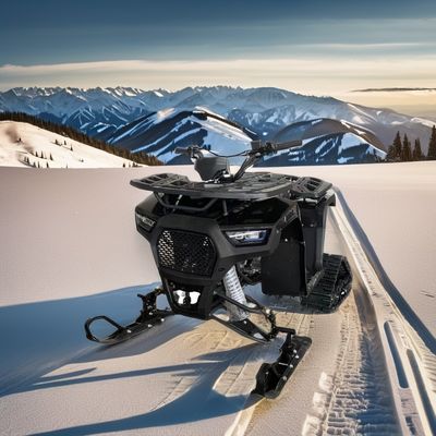 Mini sneeuwscooters 125cc 150cc sneeuwscooters met elektrische start en ketentransmissie