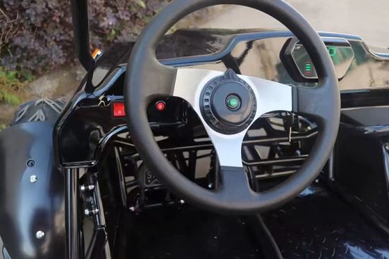Schachttransmissie 1000W Elektrische Go Kart 2 zitplaatsen 60V Buggy voor tieners