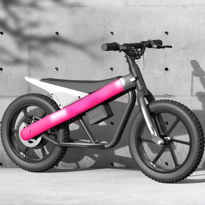 300W 24V batterij Kinderen Mini elektrische balansfiets met PNEUMATISCH band en 3 versnellingsbakken
