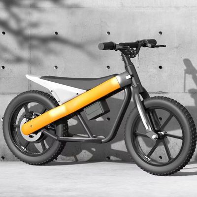300W 24V batterij Kinderen Mini elektrische balansfiets met PNEUMATISCH band en 3 versnellingsbakken