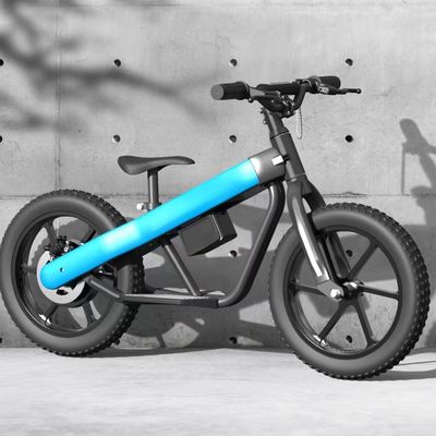 300W 24V batterij Kinderen Mini elektrische balansfiets met PNEUMATISCH band en 3 versnellingsbakken