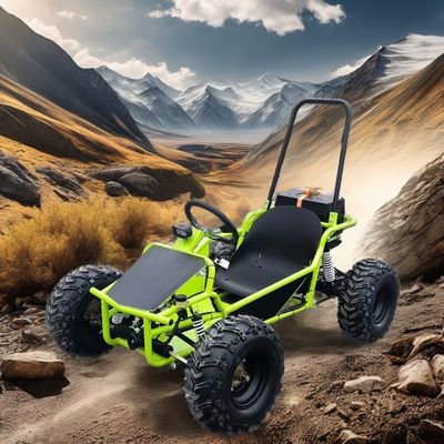 Electric Kids Go Kart met 2024 1000W 1200W borstelloze motor en Big Power 3 Speed Buggy