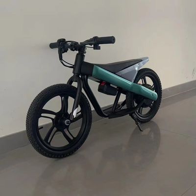 16 inch kinder elektrische balansfiets met stalen frame en titanium velg materiaal
