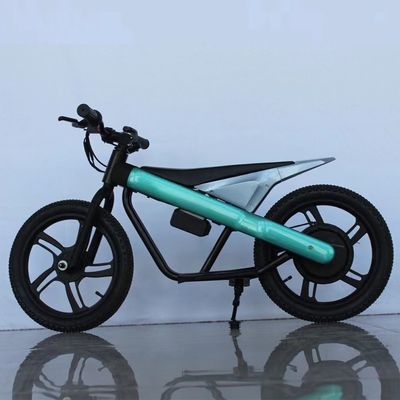16 inch kinder elektrische balansfiets met stalen frame en titanium velg materiaal