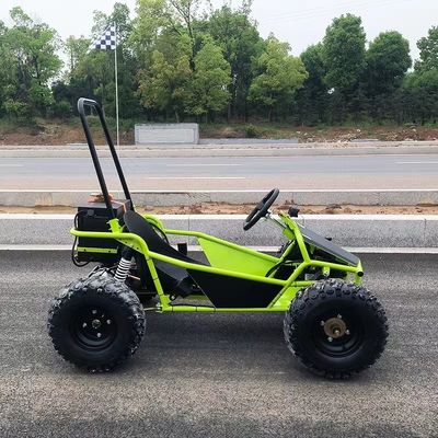 Sneeuw- en zandspuren 1000W Schacht aandrijving Go Kart Aotong Motor Electric Golf Buggy