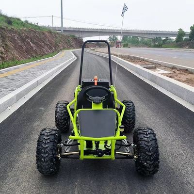 Sneeuw- en zandspuren 1000W Schacht aandrijving Go Kart Aotong Motor Electric Golf Buggy