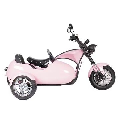 Maximale snelheid 41-50km/h Elektrische Racing Emotocycle Scooter Bike voor High Speed liefhebbers