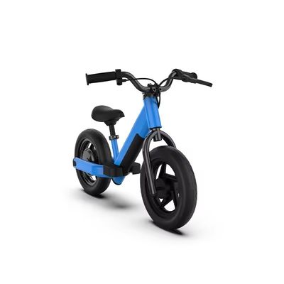 Kinderen 16 inch balans fiets speelgoed Perfect voor het ontwikkelen van evenwicht en coördinatie bij kinderen