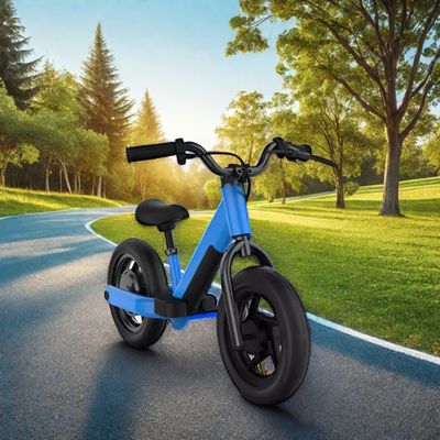 Off-road avontuur makkelijk gemaakt met 200W elektrische Dirt Bike en een batterijcapaciteit van 24V
