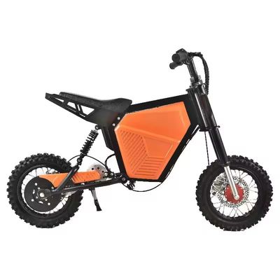 36V elektrische off-road motorfietsen 500W motorvermogen 30km/h snelheid lange afstand vermogen
