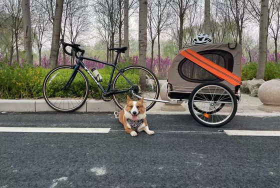 Kinderwagen, fietsrijtuig, troeteldier, buitencamper, met voorwiel van 14&quot;