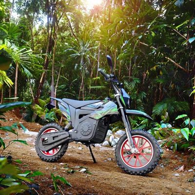 48V elektrische motorfiets Cross voor kinderen Max. snelheid 40-60km/h Lithiumbatterie