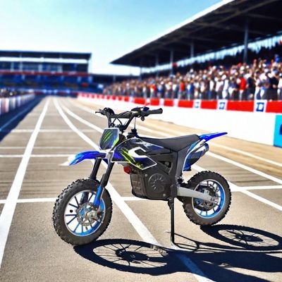 1200W elektrische Dirt Bike met stickers en max. snelheid 40 60km/h Off-road motorfietsen