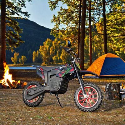 Elektrische Dirt Bike Motor E Bike 48V 15AH Lithiumbatterij Pedal Kit Off-road Motorfiets