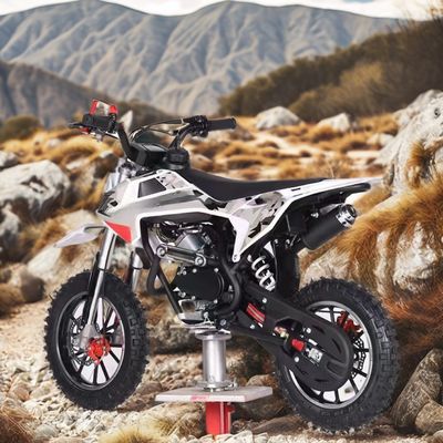 Customzied ondersteunde kleuren 60CC motor 4 slag kinder vuilfiets met DISC rem