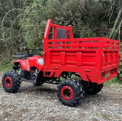 Farm ATV Aotong 125cc/150cc met aanhangwagen en vrachtbus 2WD 4WD Off Road ATV Spanning 12V