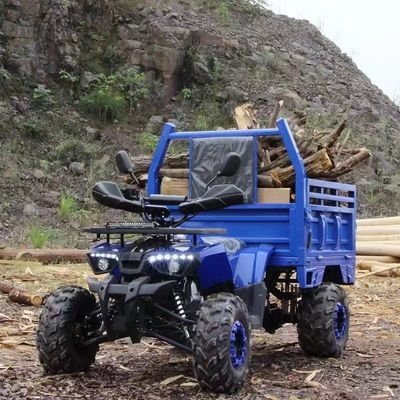 Farm ATV Aotong 125cc/150cc met aanhangwagen en vrachtbus 2WD 4WD Off Road ATV Spanning 12V