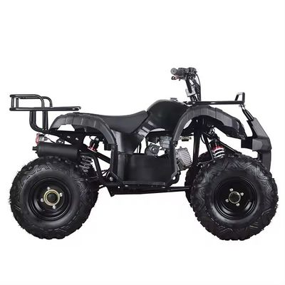 110cc 125cc ATV met automatische keten aandrijving Aotong's Compact Design Chinese Product