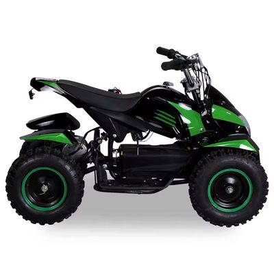 800w 1000w Motorfiets 36v Mini Beach Buggy Vierwieler 500W Elektrische Vierwieler ATV voor kinderen