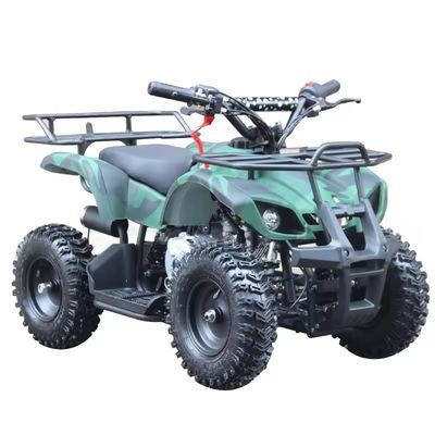 Kinderen Ce Certificatie Mini Vierwiel 49cc Quad Atv met niet uitgeruste verschil slot