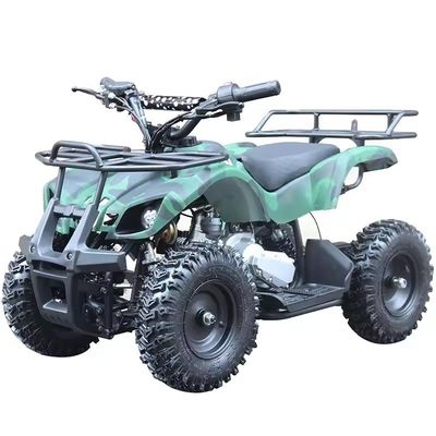 Kinderen Ce Certificatie Mini Vierwiel 49cc Quad Atv met niet uitgeruste verschil slot