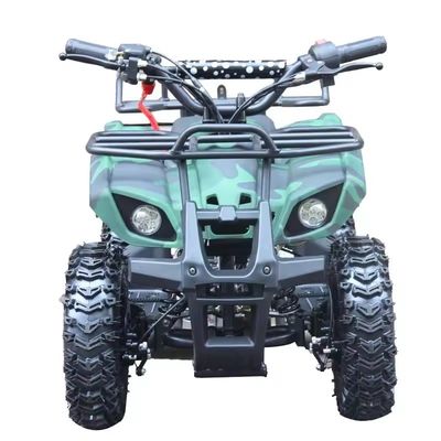 Kinderen Ce Certificatie Mini Vierwiel 49cc Quad Atv met niet uitgeruste verschil slot
