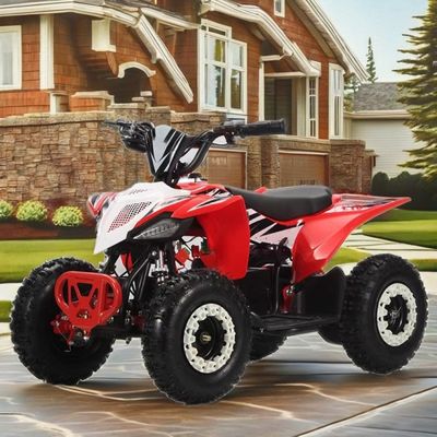 36V Kids Quad Electric 1000w Atv 125cc 6 inch Automatic Quad Motorcycle voor kinderen 2WD