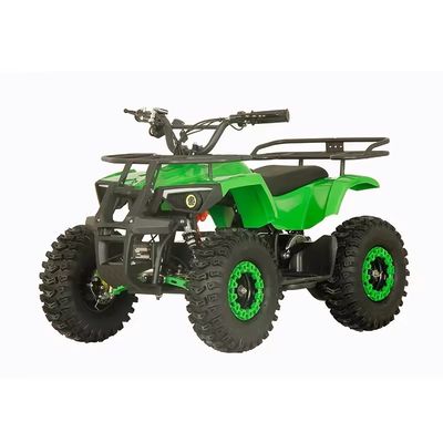 Street Legal 1200W ATV Four Wheels Quad Bike met 2WD en 30-50km rijstervaring