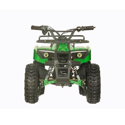 Street Legal 1200W ATV Four Wheels Quad Bike met 2WD en 30-50km rijstervaring