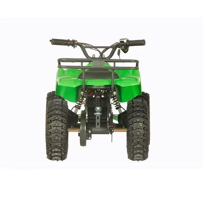 Street Legal 1200W ATV Four Wheels Quad Bike met 2WD en 30-50km rijstervaring