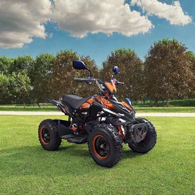 Kinderen 50cc 4 Wheeler Quad Atv met CE certificaat en Mini Four Wheel Motorcycle 49cc