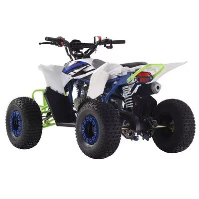 FOB CFR Aanbieding voor 125cc Gas ATV Quad Bikes Off Road Bike 110cc 125cc Op maat gemaakte kleuren