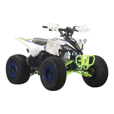 110cc 125cc quad ATV's voor volwassenen
