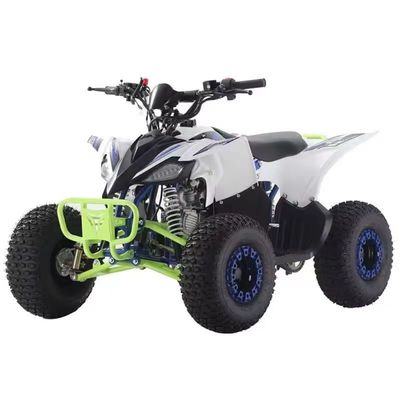 110cc 125cc quad ATV's voor volwassenen