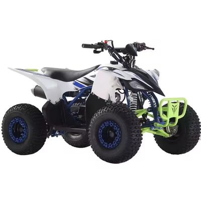 110cc 125cc quad ATV's voor volwassenen