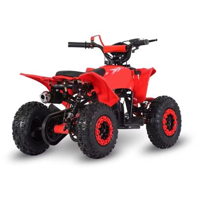 Rijden Type 2WD 2024 49cc 50cc 2 Stroke Mini Quad fiets gas aangedreven ATV voor kinderen met CE