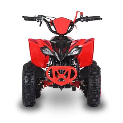 Rijden Type 2WD 2024 49cc 50cc 2 Stroke Mini Quad fiets gas aangedreven ATV voor kinderen met CE