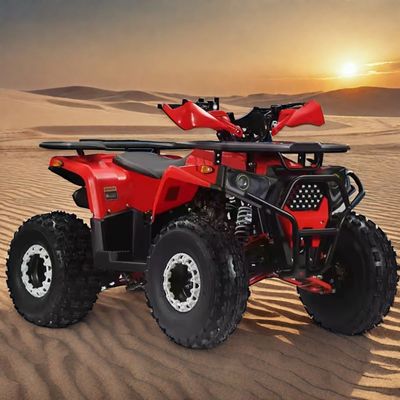 110cc 125cc Quad Bike 4 Wheeler Adventure ATV 4x2 Rijden voor volwassenen Makkelijk te manoeuvreren