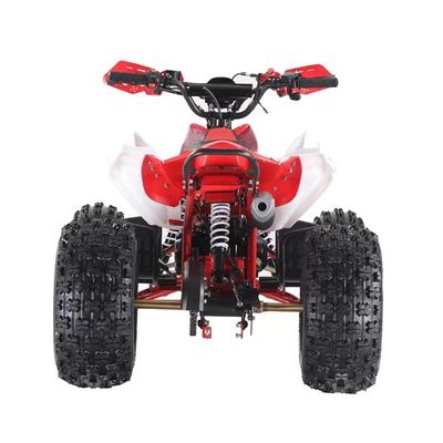 110CC/125CC 4-takt scooter gas Quad ATV met en niet uitgerust met verschil slot