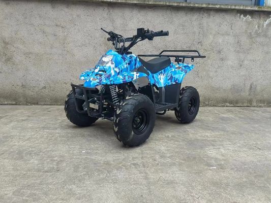 70CC/110CC Automatisch Quad Fun speelgoed ATV Buggy Voor tieners met 1 cilinder en betaalbaar