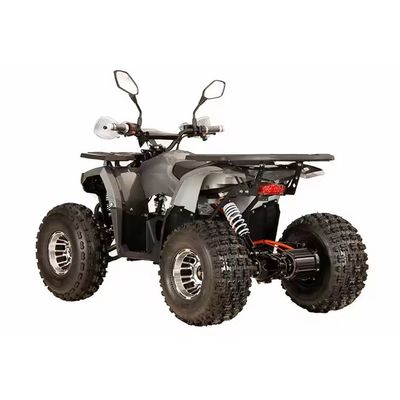 1200W elektrische ATV met schacht aandrijving met een capaciteit van 25° en een verschilslot