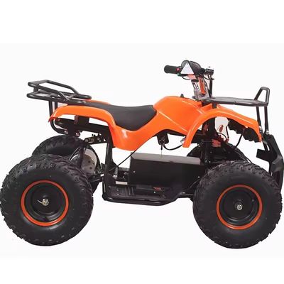 Tiener- en volwassenen elektrische ATVS 48V 1000W Aotong motor gemaakt in met CE-certificering