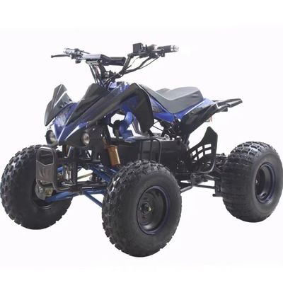 48v 1000w E-ATV met borstelloze motor en minimale afstand van 150-200 mm