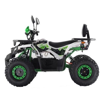 2WD Driving Type Aotong Motor 1000W Electric Side by Side ATV met 60V 20AH batterij