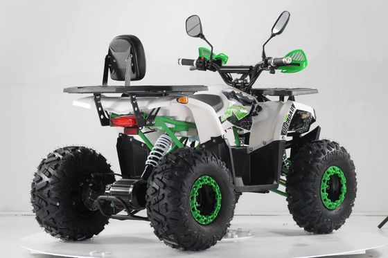 2WD Driving Type Aotong Motor 1000W Electric Side by Side ATV met 60V 20AH batterij