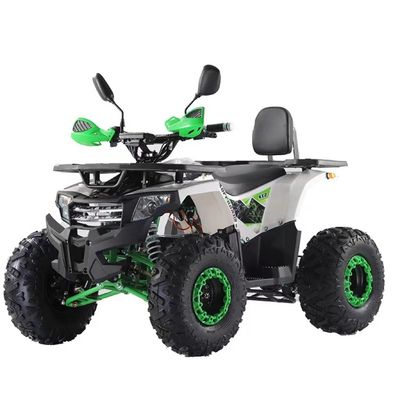 2WD Driving Type Aotong Motor 1000W Electric Side by Side ATV met 60V 20AH batterij