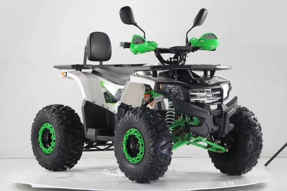 2WD Driving Type Aotong Motor 1000W Electric Side by Side ATV met 60V 20AH batterij