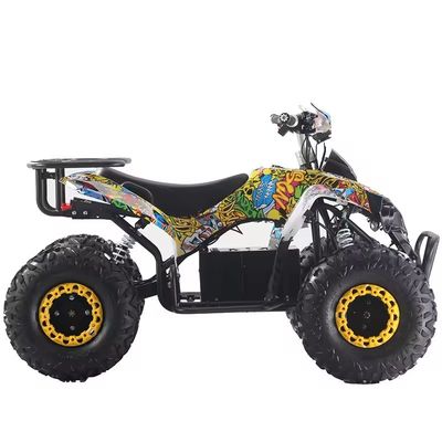 Op maat gemaakte kleuren 1000W/1500W ATV Quads met Ft Disc Rr Disc Brake